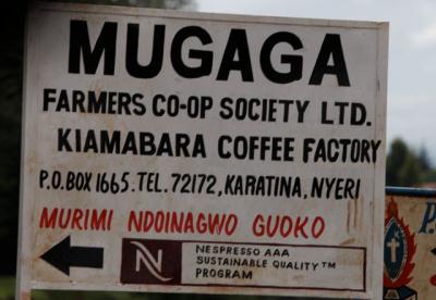 Kenya AA Kiamabara Cooperative